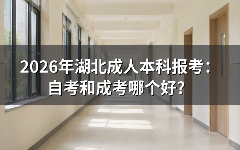 自考和成考的核心区别对比