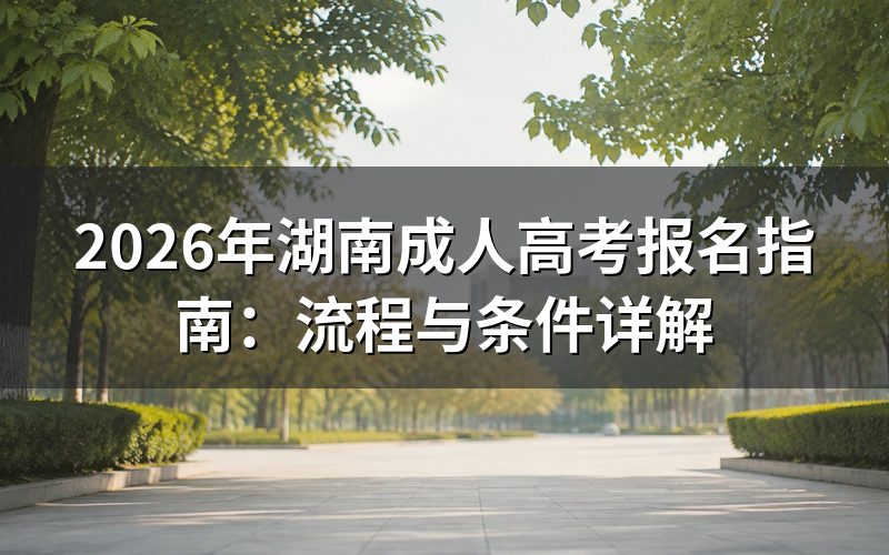 2026年湖南成人高考报名流程