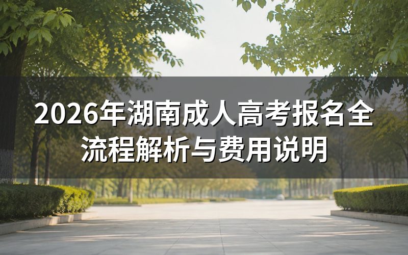 2026年湖南成考报名流程