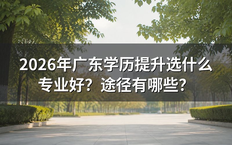 广东学历提升选什么专业好？