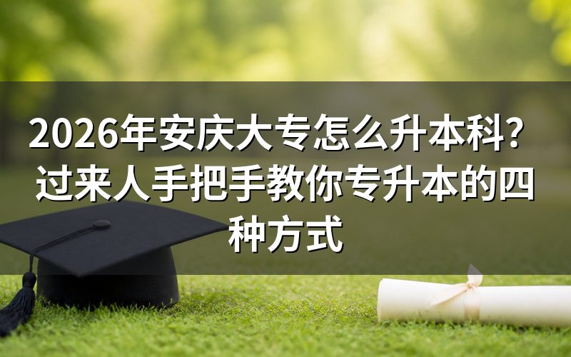 专升本核心政策与条件
