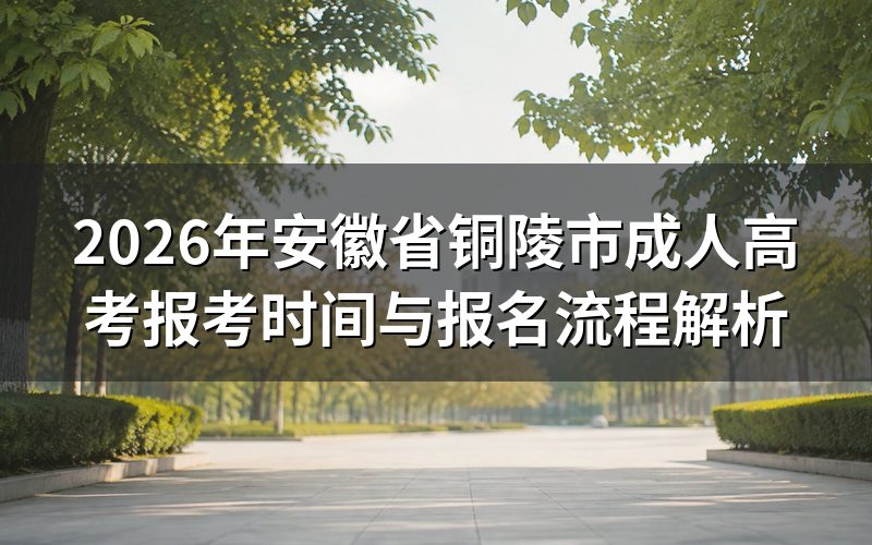 2026年安徽铜陵成考报考时间节点