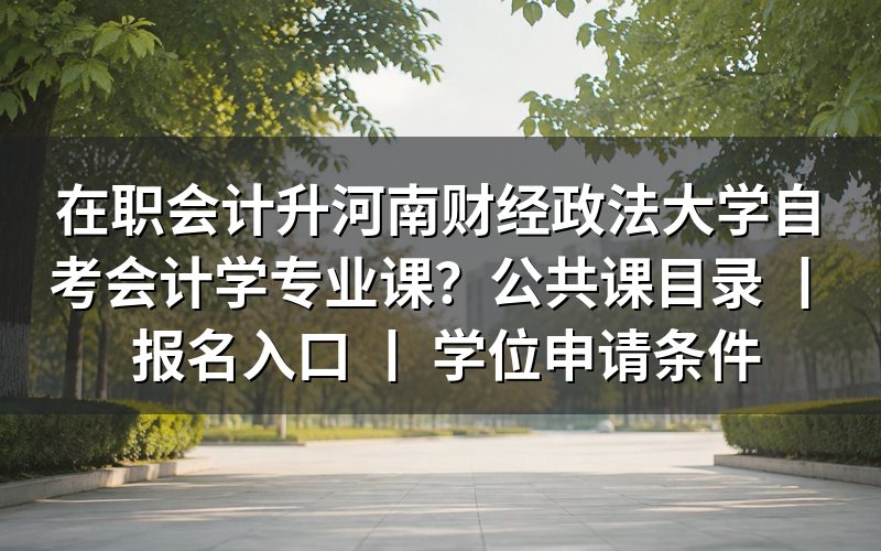河南财经政法大学自考会计学专业课设置