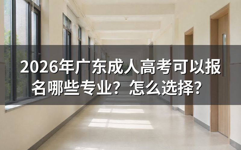 2026年广东成人高考可以报名哪些专业？