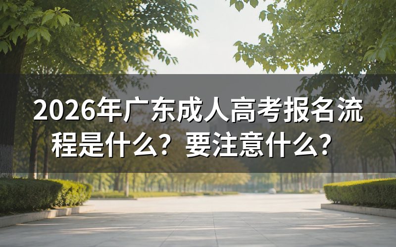 2026年广东成人高考报名流程