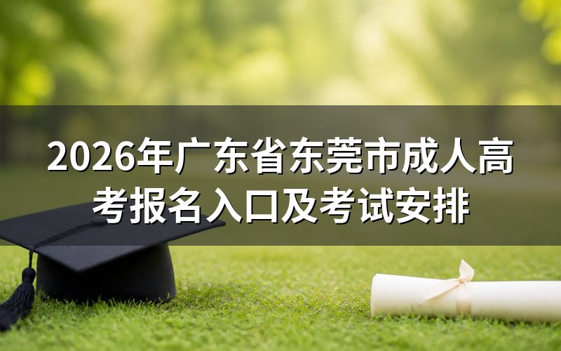 2026年广东省东莞市成人高考报名时间