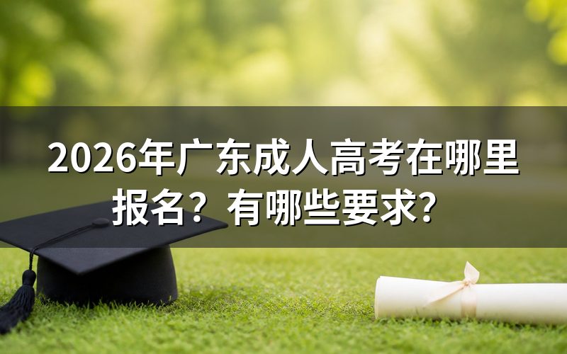 2026年广东成人高考报名入口