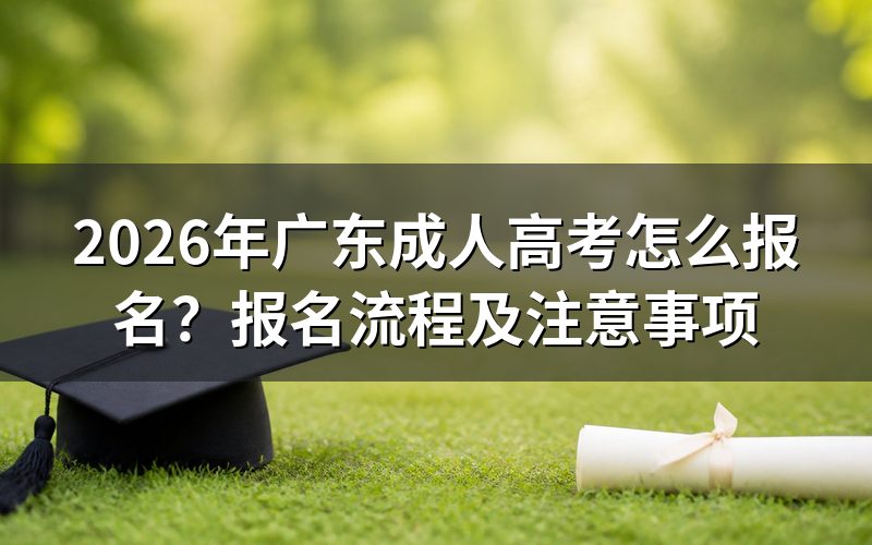 2026年广东成人高考报名流程