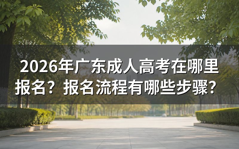 2026年广东成人高考在哪里报名