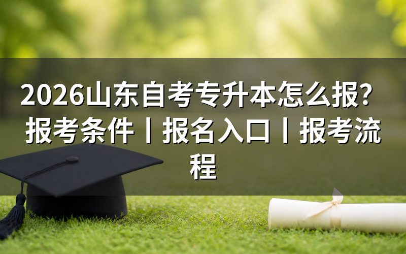 一、2026山东自考专升本先看这几个结论