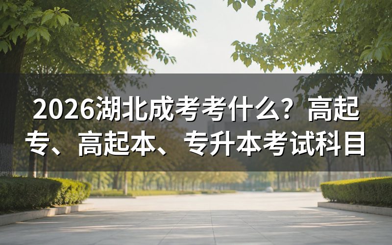 一、湖北成考是什么考试?分哪几个层次