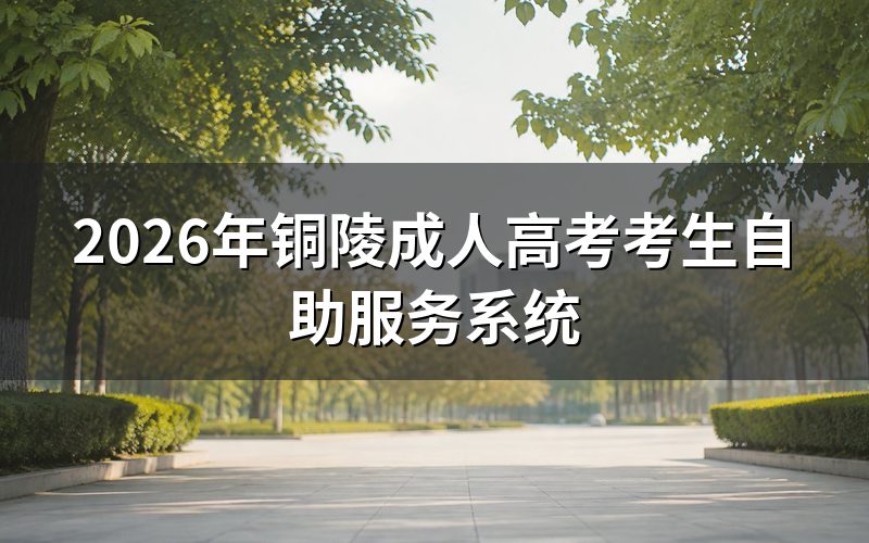铜陵成考考生自助服务系统有哪些功能