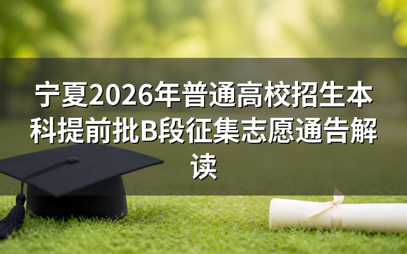 速查卡:关键信息一图看
