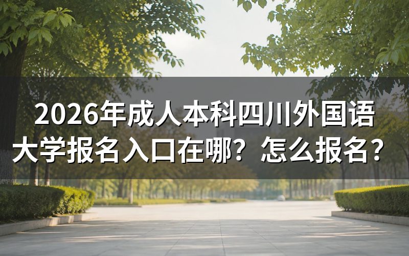 2026年四川成考报名入口与系统操作流程