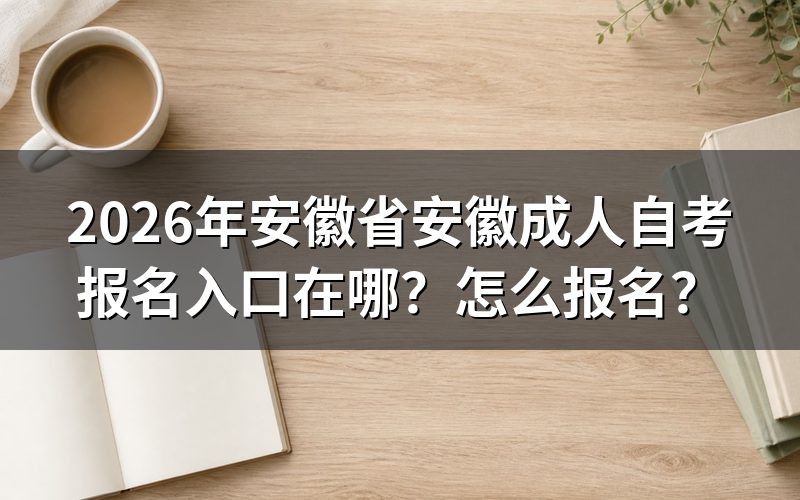 一、报名入口与核心网址