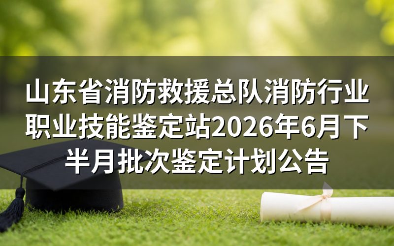 速查卡：关键信息一图看