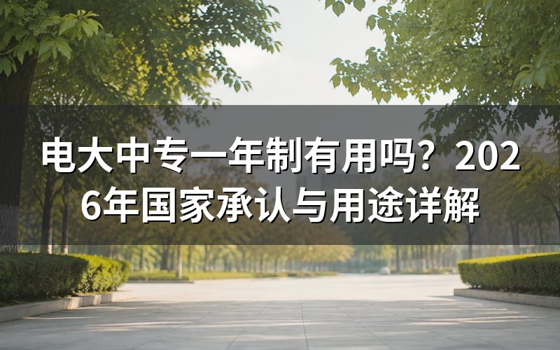 电大中专一年制国家承认吗?
