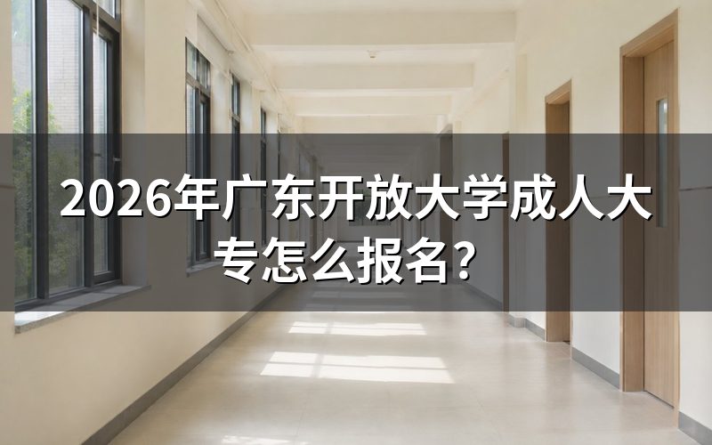 报名条件