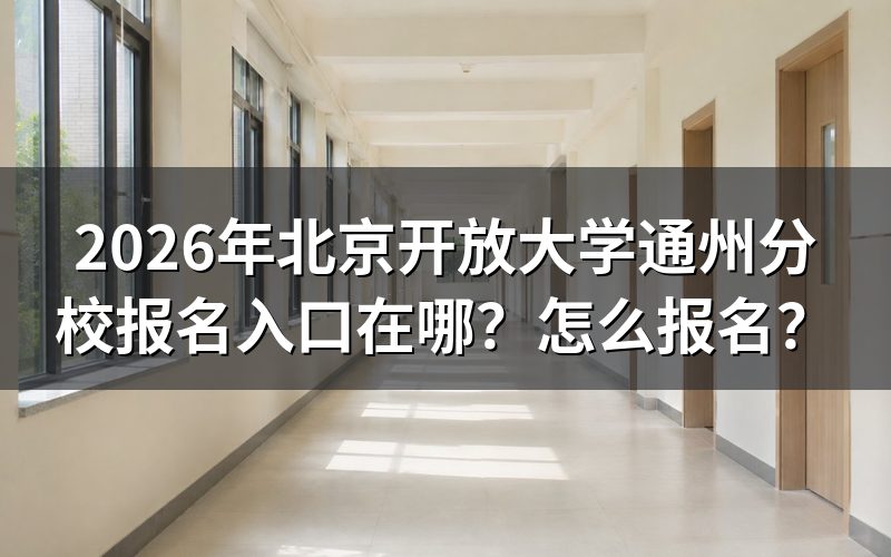 一、报名入口与查询途径