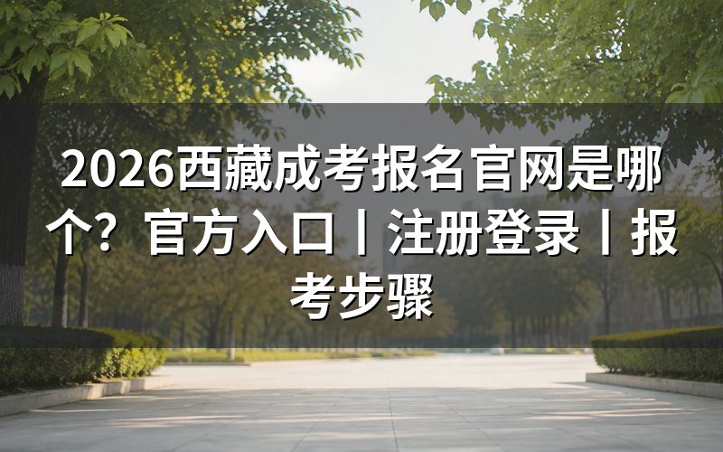 2026西藏成人高考官方入口在哪里
