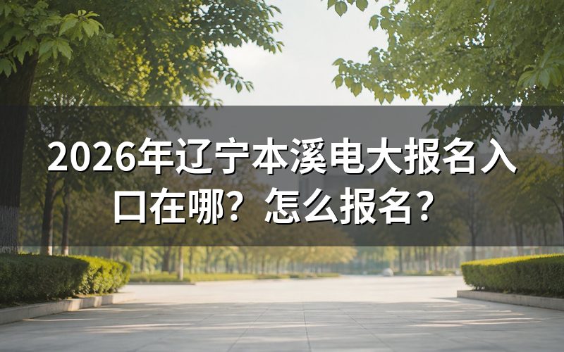 报名入口与查询途径