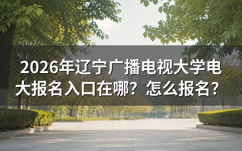 报名入口与官方查询途径
