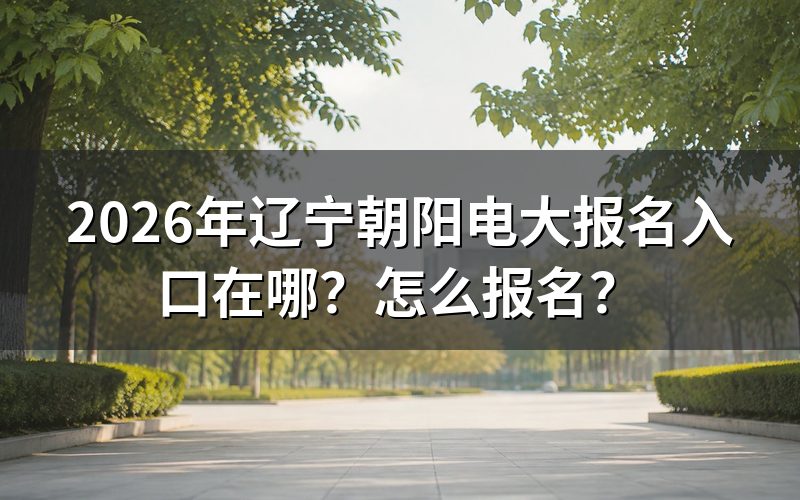 报名入口与官方查询途径