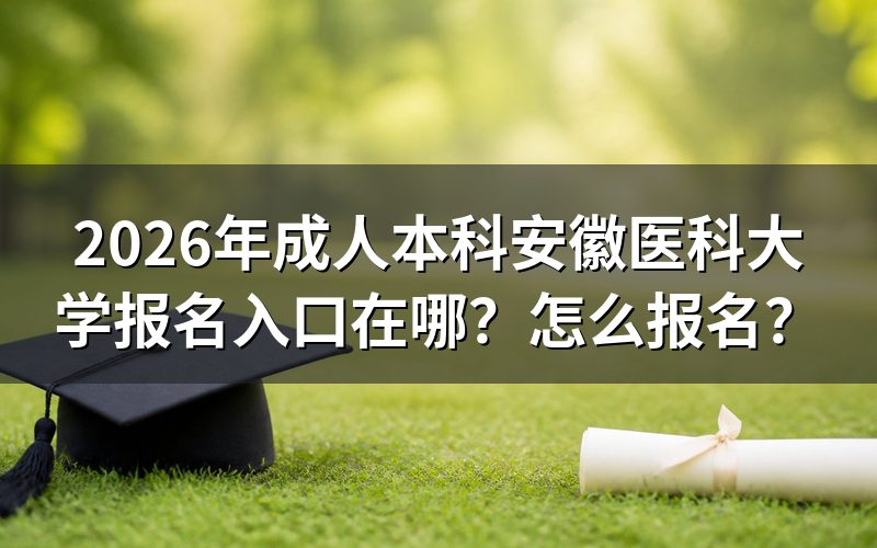 2026年报名入口与时间安排