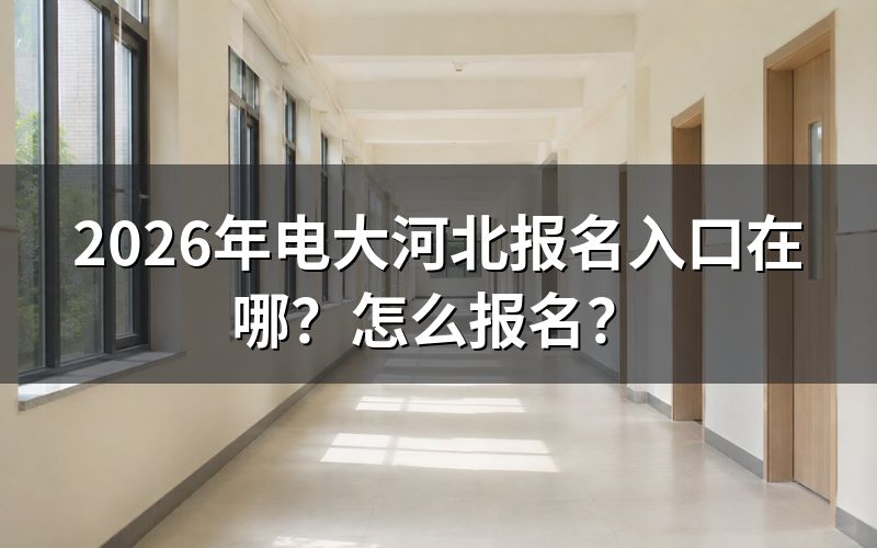 报名入口与查询途径