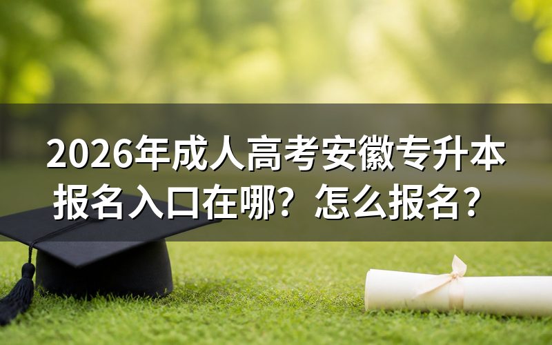 报名入口与官方渠道