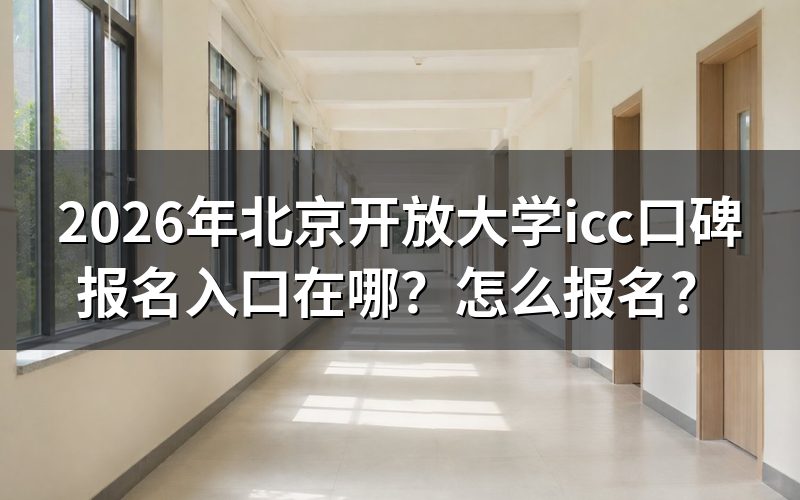 报名入口与官方查询途径