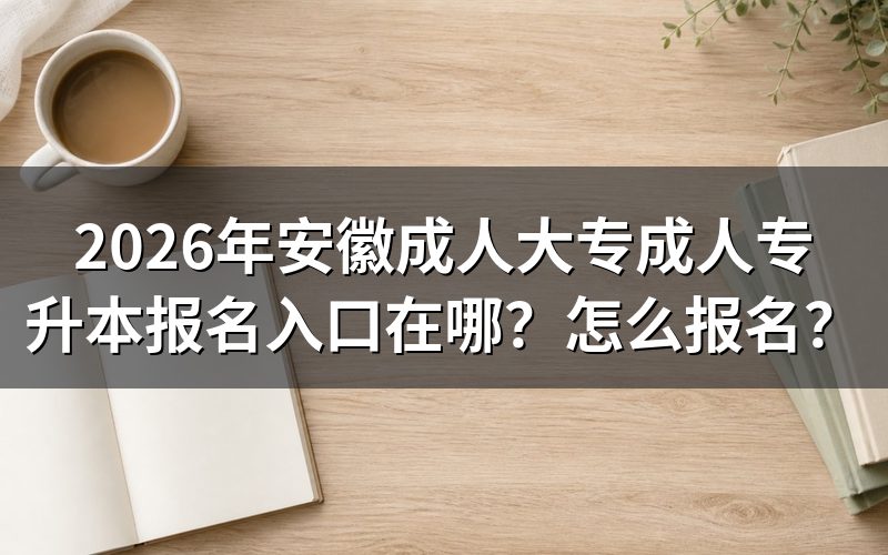 报名入口与操作路径