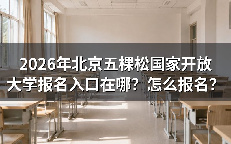 报名入口与查询途径