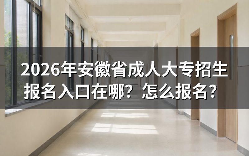 报名入口与官方渠道
