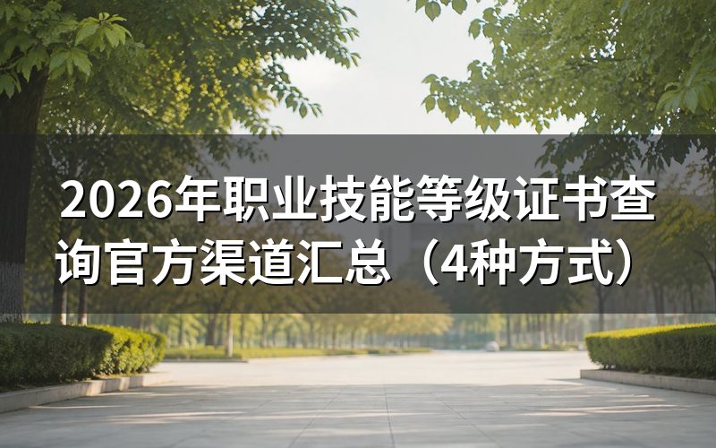 职业技能等级证书有哪些查询渠道？