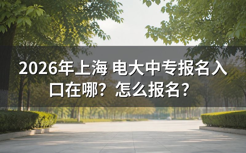 报名入口与官方查询途径