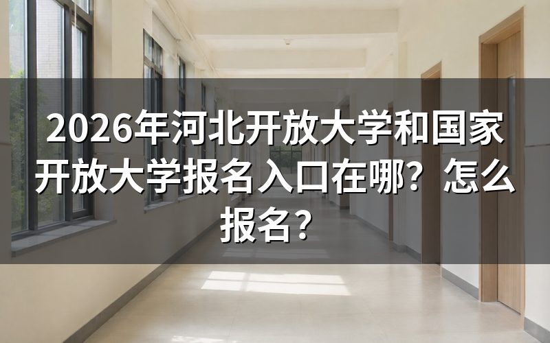 报名入口与查询途径