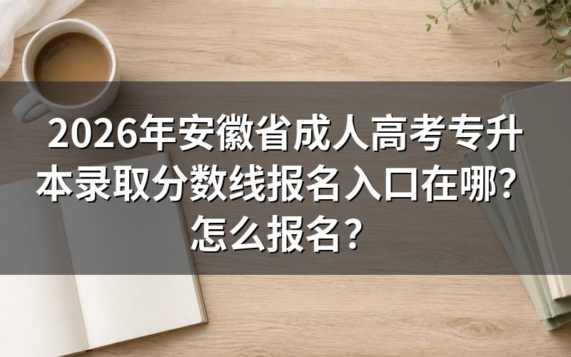 2026年安徽成人高考专升本报名入口在哪？