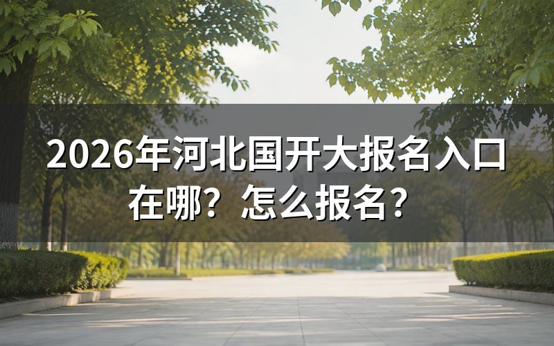 报名入口与查询途径