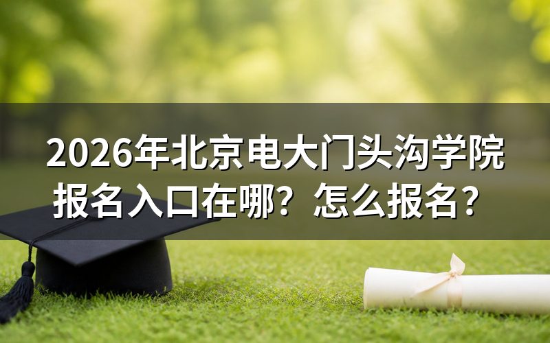 报名入口与官方查询途径