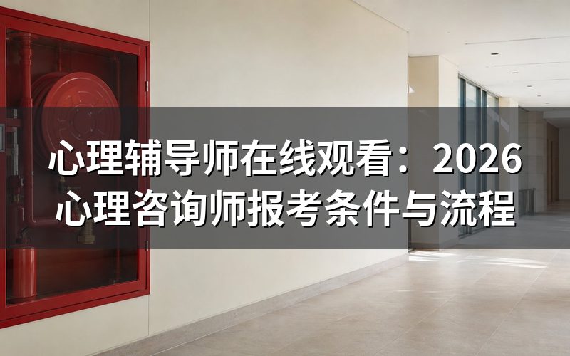 心理辅导师在线观看能直接考证吗?