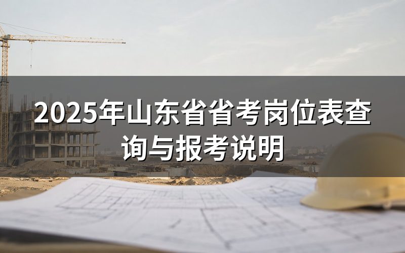 2025年山东省考岗位表在哪里查询?