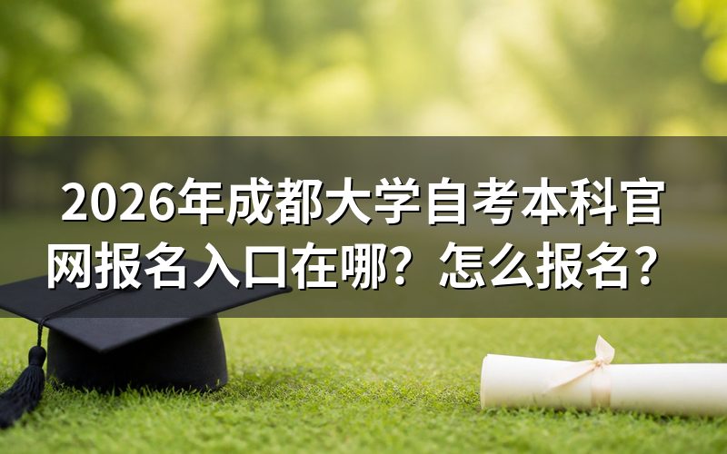 入口就一个：省考试院系统