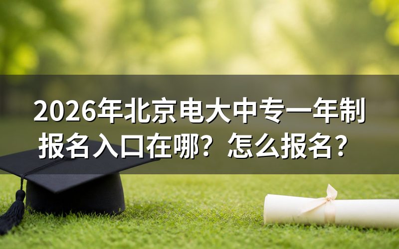 报名入口与官方网站
