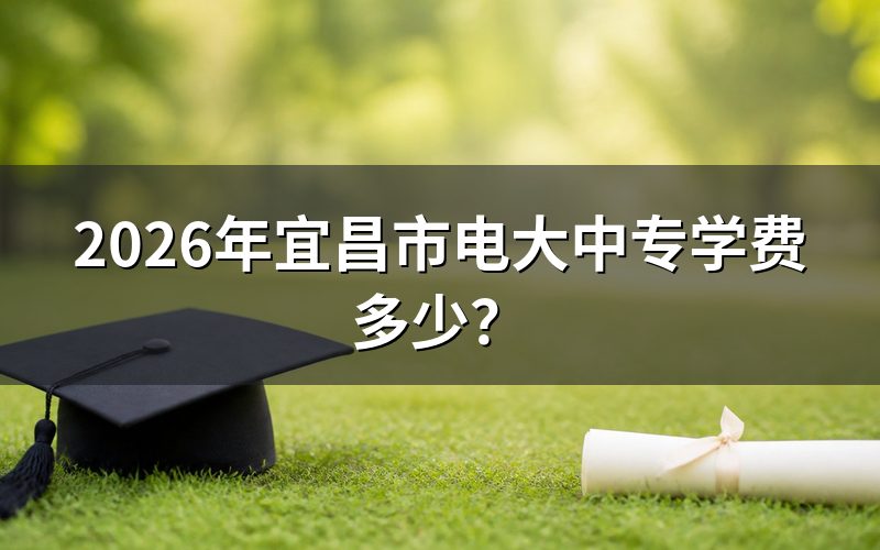 先搞清楚，"电大中专"到底指哪一层
