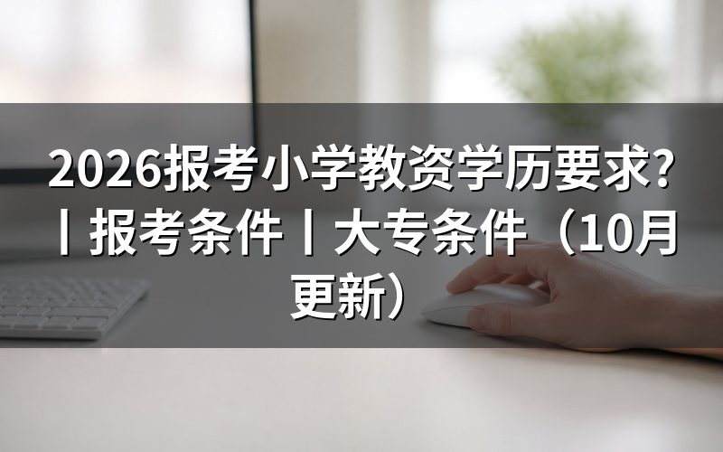 报考小学教资需要什么学历,核对报名表学历栏