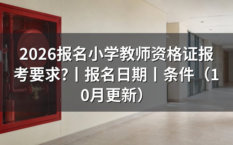 报名小学教师资格证的要求，看报名表学历栏