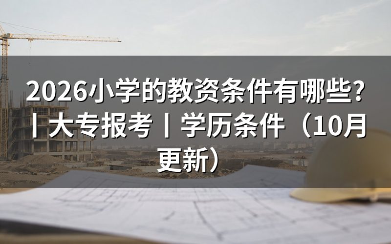 报考小学教资的学历条件,看报名表学历栏