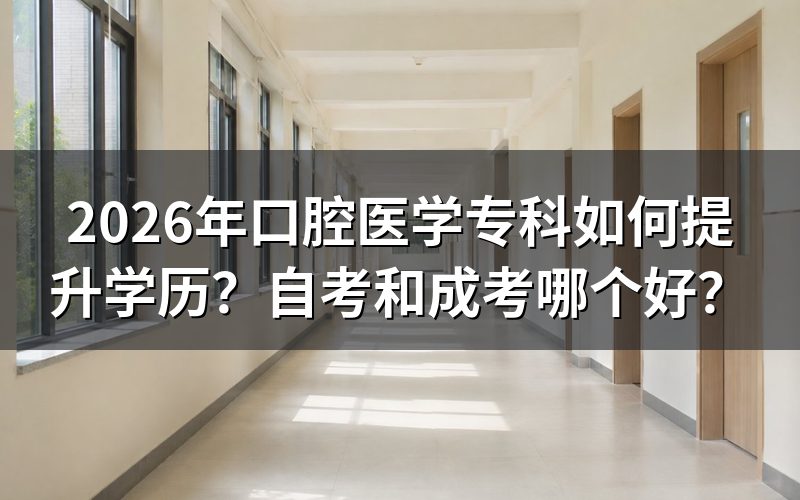 自考和成考核心对比