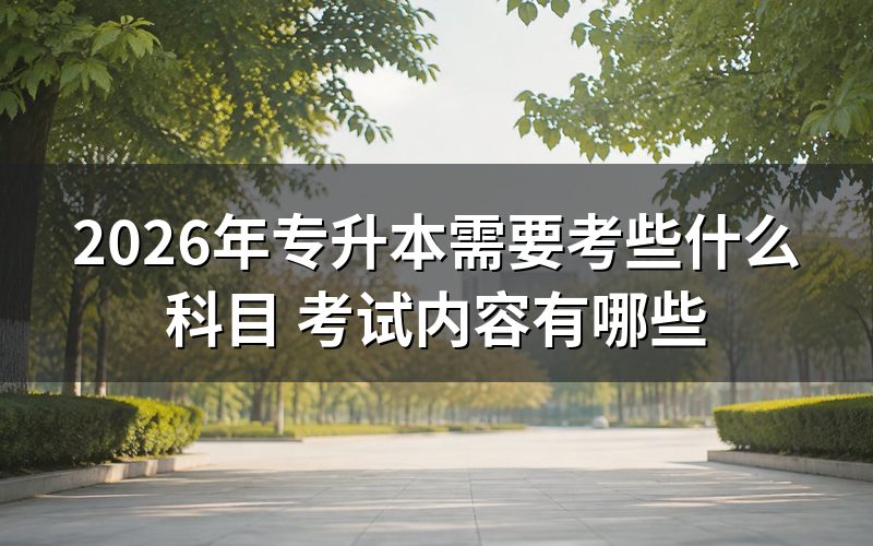 自考和成考的考试科目对比